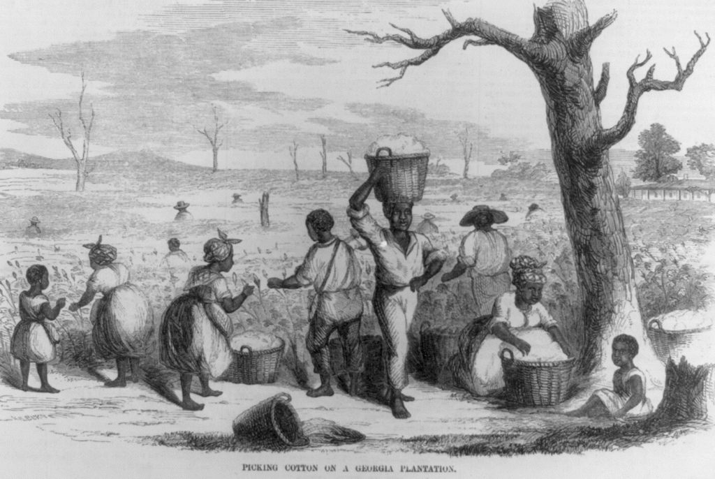 Engraving of African-American slaves picking cotton in Georgia in 1858.